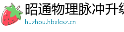 昭通物理脉冲升级水压脉冲